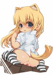 1girl animal_ear_fluff animal_ears anus ass back blonde_hair blue_eyes bottomless cat_ears cat_tail colored_eyelashes fushuu huge_ass loli long_hair looking_back no_panties original pussy shirt simple_background sitting solo spread_pussy striped_clothes striped_thighhighs tail thighhighs uncensored white_background rating:Explicit score:201 user:danbooru