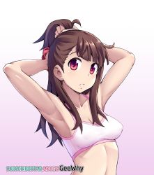 1girl armpit_focus armpits arms_up artist_name bra breasts brown_hair cleavage geewhy gradient_background hands_in_hair highres kagari_atsuko little_witch_academia long_hair looking_at_viewer parted_lips pink_background pink_bra red_eyes small_breasts solo teeth tying_hair underwear upper_body watermark web_address rating:Sensitive score:136 user:danbooru