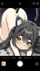  1girl all_fours animal_ear_fluff animal_ears ass black_hair blush brown_eyes cat_ears cat_girl cat_tail cellphone cellphone_photo completely_nude dot_nose female_focus highres phyllis_(human)_(little_witch_nobeta) little_witch_nobeta loli long_hair looking_at_viewer nude official_art outstretched_arms phone phyllis_(human)_(little_witch_nobeta) phyllis_(little_witch_nobeta) ribbon sky-freedom slit_pupils smartphone smile solo tail taking_picture top-down_bottom-up twintails  rating:Questionable score:110 user:danbooru