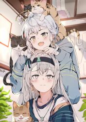  2girls alternate_costume alternate_hairstyle animal animal_on_head black_hairband blue_jacket blush casual cat cat_on_head chin_rest closed_mouth earrings firefly_(honkai:_star_rail) grey_hair hairband halo head_on_head head_rest highres honkai:_star_rail honkai_(series) indoors jacket jewelry looking_at_another multiple_girls necklace on_head plant potted_plant qingsi robin_(honkai:_star_rail) shirt upper_body white_shirt yellow_eyes 