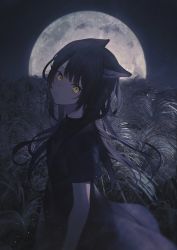 1girl achiki animal_ears black_dress black_hair cat_ears closed_mouth commentary cowboy_shot dress frown full_moon head_tilt highres long_hair looking_at_viewer moon original shirt short_sleeves slit_pupils solo symbol-only_commentary wheat_field yellow_eyes rating:Sensitive score:10 user:danbooru