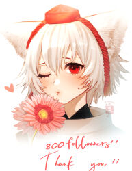  1girl ;t animal_ears commentary_request english_text flower hat heart highres inubashiri_momiji looking_at_viewer milestone_celebration one_eye_closed pink_flower red_eyes red_hat short_hair signature simple_background solo soukou_(artist) tokin_hat touhou twitter_username upper_body white_background white_hair wolf_ears wolf_girl 