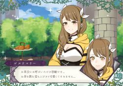  1girl armor blush braid breasts brown_eyes brown_hair bush cleavage column commentary_request corset cup fire_emblem fire_emblem:_three_houses fire_emblem_engage food goldmary_(fire_emblem) grin hair_ribbon highres hood hood_down large_breasts long_hair long_sleeves looking_at_viewer multiple_views nintendo otokajife pastry pillar ribbon shoulder_armor shrug_(clothing) smile teacup tiered_tray white_ribbon 