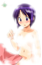  1girl :o arm_at_side bad_id blunt_ends blush bob_cut breasts collarbone commentary completely_nude convenient_censoring cowboy_shot dropping embarrassed flying groin hand_up inverted_bob looking_at_object love_hina maehara_shinobu navel nude open_mouth purple_eyes purple_hair short_hair small_breasts solo standing steam steam_censor tama_(love_hina) towel turtle white_background yamamura_hiroki 