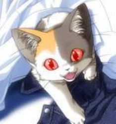 calico cat clothes fang fangs icon_(computing) kitten lowres red_eyes rating:Sensitive score:0 user:softfang