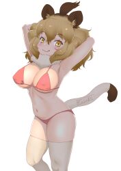  1girl :3 :q absurdres animal_ear_fluff animal_ears armpits arms_behind_head arms_up bare_arms bikini blonde_hair breasts brown_hair commentary fur_collar hair_between_eyes highres kemono_friends large_breasts light_blush lion_(kemono_friends) lion_ears lion_girl lion_tail long_hair looking_at_viewer masuyama_ryou multicolored_hair navel orange_eyes red_bikini simple_background skindentation smile solo stomach string_bikini swimsuit tail thighhighs tongue tongue_out two-tone_hair white_background white_thighhighs 