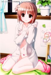  00s 1girl blush bow bow_panties brown_eyes cloud clover collarbone curtains cushion flip-flops flower_pot four-leaf_clover hair_ribbon highres hiide loli long_hair long_sleeves looking_at_viewer navel nekomiya_nono nipples open_clothes open_shirt panties pink_footwear plant ponytail poster_(medium) ribbon sandals shirt side_ponytail sitting sky smile towel towel_around_neck underwear wall white_panties white_shirt window yotsunoha  rating:Questionable score:22 user:loli_and_pee