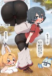  &gt;_&lt; 2girls animal_ears ass backpack bag black_gloves black_pantyhose blue_eyes blue_hair blurry blurry_background blush breasts day gloves highres kaban_(kemono_friends) kemono_friends large_breasts looking_at_viewer lucky_beast_(kemono_friends) multiple_girls open_mouth orange_hair outdoors panties panties_under_pantyhose pantyhose ransusan red_shirt serval_(kemono_friends) shirt short_hair short_sleeves small_breasts speech_bubble thighband_pantyhose translated underwear white_panties  rating:Sensitive score:105 user:danbooru