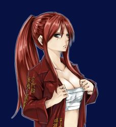 1girl blue_background breasts cleavage erza_scarlet fairy_tail large_breasts long_hair looking_at_viewer mashima_hiro official_art ponytail red_hair sarashi simple_background solo rating:Sensitive score:44 user:Locke831