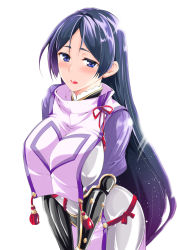  asou_shin black_gloves blush bodysuit breasts fate/grand_order fate_(series) gloves large_breasts loincloth long_hair looking_at_viewer low-tied_long_hair minamoto_no_raikou_(fate) open_mouth parted_bangs purple_bodysuit purple_eyes purple_hair ribbed_sleeves solo tabard very_long_hair 