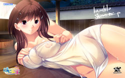 1girl ahoge blush breasts brown_hair bucket company_name covered_erect_nipples cowboy_shot hair_ornament hairclip hani_tsuma heart highres ikoma_aoi large_breasts light_smile logo long_hair looking_at_viewer lying naked_towel night nipples official_art official_wallpaper on_side onsen outdoors purple_eyes reflection see-through shinonome_kazuhiko signature smile solo towel wallpaper wet white_towel wide_hips wooden_bucket rating:Explicit score:25 user:danbooru