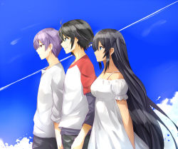 1girl 2boys ahoge arashi_teppei arm_at_side arm_behind_back bare_shoulders black_hair black_pants blue_eyes blue_sky captain_earth closed_mouth cloud collarbone dark_skin day dress floating_hair from_side green_eyes hair_between_eyes isshiki_(ffmania7) layered_sleeves lineup long_hair long_sleeves manatsu_daichi multicolored_shirt multiple_boys mutou_hana neck off-shoulder_dress off_shoulder pants purple_hair red_eyes red_sleeves shirt short_hair short_over_long_sleeves short_sleeves sky smile standing two_side_up very_long_hair white_dress white_shirt 