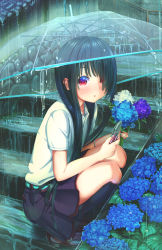  1girl aiuabo aqua_belt aqua_nails belt black_hair black_skirt black_socks blue_flower blush brown_footwear commentary_request eyelashes fingernails flower from_side full_body hair_over_one_eye highres holding holding_flower hydrangea kneehighs leaf loafers long_hair looking_at_viewer looking_to_the_side nail_polish original parted_lips pleated_skirt rain school_uniform shears shirt shoes short_sleeves skirt socks solo sparkling_eyes splashing squatting stairs transparent transparent_umbrella triangle_mouth umbrella water_drop white_shirt  rating:General score:5 user:danbooru