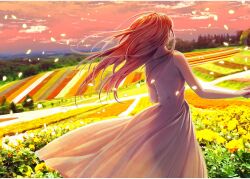  1girl cloud dress field flower flower_field highres long_hair outdoors petals scenery sky sunset white_dress  rating:General score:0 user:padded_popper
