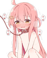  1girl ahoge animal_collar ayanepuna blush brown_eyes collar commentary_request dot_nose flat_chest hair_between_eyes hair_ornament hairclip heart ii_(ayanepuna) knees_up leash loli long_hair looking_ahead nipples nose_blush nude open_mouth original pink_hair simple_background solo speech_bubble sweat translation_request two_side_up wavy_mouth white_background  rating:Questionable score:50 user:danbooru
