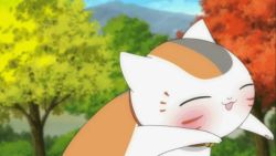  animal animated animated_gif cat lowres natsume_yuujinchou no_humans nyanko-sensei  rating:Sensitive score:9 user:cypherpunks
