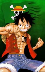  1boy flag hat highres jolly_roger male_focus monkey_d._luffy oda_eiichirou one_piece open_clothes red_vest shorts smile solo stampede_string straw_hat teeth vest  rating:Sensitive score:3 user:primetime72