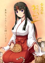  1girl absurdres animal animal_on_lap black_hair breasts cat cat_on_lap closed_mouth hakama headband highres japanese_clothes kimono kneeling large_breasts long_hair long_sleeves miko mucoro musha_miko_tomoe on_lap purple_eyes queen&#039;s_blade red_hakama ribbon-trimmed_sleeves ribbon_trim smile solo tomoe_(queen&#039;s_blade) tomoe_(queen's_blade) very_long_hair white_kimono wide_sleeves 