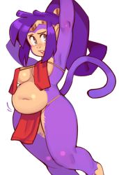  1girl alternative_body_build armpits arms_up belly big_belly breasts fat furry hair_ornament loincloth looking_at_viewer medium_breasts monkey plump purple_fur purple_hair racist shantae shantae_(series) solo_focus tail thick_thighs thighs wamudraws  rating:Questionable score:79 user:tanuki-taro