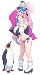  1girl animal animal_on_head arm_up ataruman bikini bird black_bikini blue_archive blush breasts eimi_(blue_archive) eimi_(swimsuit)_(blue_archive) full_body goggles goggles_on_head halo highres jacket large_breasts long_hair looking_at_viewer navel official_alternate_costume on_head open_clothes open_jacket penguin pink_hair pink_halo pink_jacket ponytail scarf side-tie_bikini_bottom simple_background ski_goggles solo standing swimsuit white_background white_scarf 