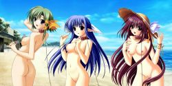 00s 3girls ass back bdsm beach blue_hair blush breasts brown_hair collar green_hair hat leash lisianthus long_hair multiple_girls nerine nipples nude nude_filter ocean outdoors pointy_ears purple_eyes pussy red_eyes ribbon shigure_asa short_hair shuffle! sideboob slave straw_hat third-party_edit uncensored yellow_eyes rating:Explicit score:29 user:pink