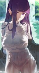  1girl absurdres blunt_bangs breasts cleft_of_venus closed_mouth commentary female_pubic_hair fern_(sousou_no_frieren) hews highres large_breasts long_hair looking_at_viewer navel nipples pubic_hair purple_eyes purple_hair pussy see-through solo sousou_no_frieren thighs water waterfall wet wet_clothes  rating:Questionable score:162 user:danbooru