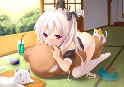  1girl animal animal_on_head ass black_cat bow bush butt_crack cat cat_on_head cup day drink drinking_glass drinking_straw feet grinding hair_bow hand_fan ice ice_cube indoors kiss loli long_hair looking_at_viewer on_head original panties panty_pull paper_fan practicing purple_eyes ryo_(botugo) short_hair short_sleeves shouji sliding_doors soles solo stuffed_animal stuffed_toy tatami teddy_bear thighhighs twintails uchiwa underwear white_cat white_hair white_panties white_thighhighs  rating:Questionable score:130 user:danbooru