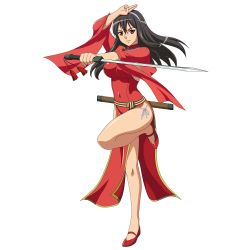 10s 1girl black_hair breasts china_dress chinese_clothes dress female_focus full_body highres jian_(weapon) long_hair official_art panties queen&#039;s_blade queen&#039;s_blade_rebellion red_dress red_eyes side-tie_panties simple_background smile solo sword tarnyang_(queen&#039;s_blade) underwear weapon white_background rating:Sensitive score:21 user:deltaonix