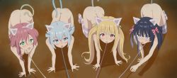 4girls all_fours anal anal_tail animal_ears assassins_pride black_hair blonde_hair blush bow breasts butt_plug cat_ears cat_tail collar drooling elise_angel fake_animal_ears fake_tail female_focus from_above green_eyes hair_bow hair_ornament heart heart-shaped_pupils highres leash long_hair looking_at_viewer merida_angel mule_la_mall multiple_girls nude open_mouth pet_play saliva sarasha_sikzar sex_toy shiny_skin sincos skindentation striped_bow striped_legwear sweat symbol-shaped_pupils tail thighhighs thighs tongue tongue_out two_side_up rating:Questionable score:317 user:Domestic_Importer