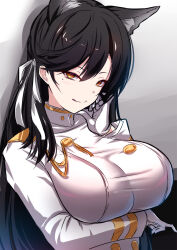  1girl :q akeyama_kitsune animal_ears atago_(azur_lane) azur_lane black_hair breasts closed_mouth commentary_request dog_ears dog_girl gloves grey_background hair_ornament hair_ribbon large_breasts long_hair long_sleeves looking_at_viewer orange_eyes ribbon smile tongue tongue_out upper_body white_gloves white_ribbon 
