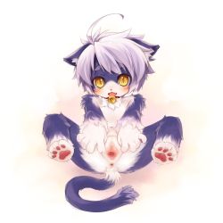  1girl ahoge animal_ears animal_hands anus barefoot bell blush collar fang feet flat_chest furry furry_female looking_at_viewer mizuki_kotora neck_bell open_mouth pawpads pussy silver_hair soles solo spread_legs spread_pussy tail uncensored yellow_eyes  rating:Explicit score:122 user:smilelover