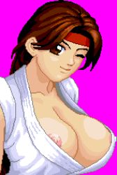  breasts large_breasts lowres pixel_art snk the_king_of_fighters warner wink  rating:Questionable score:10 user:WarnerSama__