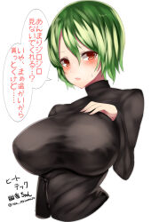  1girl breasts kazami_yuuka large_breasts tagme tiamat_(momokuri_mannen) touhou translation_request 