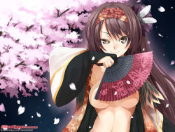  1girl 2009 armpits breasts brown_eyes brown_hair cherry_blossoms hand_fan galge.com headband japanese_clothes kimono large_breasts long_hair muratataichi nipple_slip nipples open_clothes petals smirk solo wallpaper  rating:Questionable score:25 user:danbooru