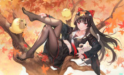  1girl atdan azur_lane black_jacket black_serafuku bow breasts brown_hair brown_pantyhose collarbone feet full_body hair_bow hand_up highres holding jacket knees_up leaning_back leg_up legs midriff navel neckerchief no_shoes open_clothes open_jacket pantyhose pleated_skirt red_eyes red_neckerchief sakawa_(azur_lane) school_uniform serafuku skirt small_breasts smile solo thighs toes torn_clothes torn_pantyhose tree  rating:Sensitive score:24 user:pieguy1098