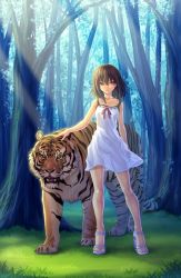  10s 2010 aka_(shoumae) brown_hair chinese_new_year dress forest grass high_heels legs nature outdoors pink_eyes ribbon see-through short_hair thigh_gap tiger white_dress  rating:Questionable score:20 user:Schedia