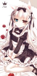  1girl alice_claudia animal_ears black_bow black_footwear blue_eyes bow commentary_request flower hair_bow heterochromia highres long_hair maid maid_headdress original red_eyes red_flower red_rose revision rose solo tsukikage_nemu white_hair 