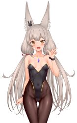  1girl absurdres animal_ears breasts cat_ears cat_girl feichu_keju highres leotard nia_(blade)_(xenoblade) nia_(xenoblade) playboy_bunny small_breasts solo transparent_background xenoblade_chronicles_(series) xenoblade_chronicles_2  rating:Questionable score:4 user:RIG