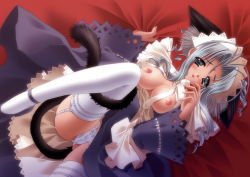 00s 1girl animal_ears blush breasts carnelian cat_ears cat_tail dark-skinned_female dark_skin garter_belt highres lingerie maid mariel_(yamibou) nipples panties silver_hair solo source_request tail thighhighs underwear white_panties white_thighhighs yami_to_boushi_to_hon_no_tabibito rating:Questionable score:8 user:danbooru