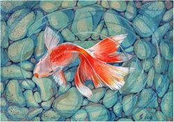  2012 animal animal_focus commentary english_commentary fins fish from_above full_body gills goldfish inna_victorovna mixed-language_commentary no_humans original painting_(medium) pebble ripples rock russian_commentary traditional_media water watercolor_(medium) 