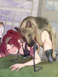  1boy 1girl absurdres all_fours animal_ears argyle argyle_clothes argyle_legwear bestiality blue_axolotl bottomless breasts building closed_eyes collar cum cum_pool cumdrip dog dog_ears doggystyle exhibitionism fence grass highres kaya_(the_hunter) leash lips nekonote_(neko-no-te92) open_mouth outdoors ponytail public_indecency purple_hair saliva saliva_trail sex sex_from_behind small_breasts tank_top the_hunter thighhighs tongue tongue_out top-down_bottom-up window  rating:Explicit score:201 user:danbooru