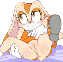  1girl animal_ears anus blush cleft_of_venus clitoris closed_mouth cream_the_rabbit female_focus furry furry_female gloves hua_(hua113) loli long_hair looking_away pussy rabbit_ears rabbit_tail shiny_skin shoe_soles shoes simple_background sitting solo sonic_(series) sweat tail white_background white_gloves  rating:Explicit score:146 user:Domestic_Importer