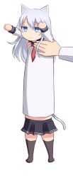 10s 1girl :3 absurdres animal_ears animal_hands blue_eyes cat_ears cat_girl cat_tail commentary_request grey_hair hibiki_(kancolle) highres kantai_collection long_hair long_sleeves longcat_(meme) meme neckerchief neit_ni_sei outstretched_arms pleated_skirt school_uniform serafuku simple_background skirt smile tail thighhighs white_background rating:Sensitive score:6 user:danbooru