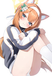 1girl absurdres animal_ear_fluff animal_ears blue_archive blue_eyes blush cat_ears commentary_request flower gym_uniform hair_flower hair_ornament hairband halo highres long_hair long_sleeves looking_at_viewer mari_(blue_archive) mari_(track)_(blue_archive) no_pants official_alternate_costume orange_hair panties rei_(ilust9999) simple_background sitting socks solo thighs underwear white_background white_flower white_hairband white_panties white_socks yellow_halo 