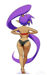  1girl ass barefoot black_choker black_panties breasts choker commentary dark-skinned_female dark_skin english_commentary from_behind full_body high_ponytail highres kneepits long_hair medium_breasts no_pants panties patreon_username pointy_ears ponytail purple_hair revenantart shantae shantae_(series) shiny_skin signature simple_background soles toes underwear very_long_hair white_background 