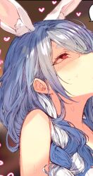 1girl absurdres animal_ear_fluff animal_ears blue_hair blush braid braided_ponytail commentary cropped from_side hair_over_shoulder heart highres hololive implied_fellatio long_hair looking_up mature_female multicolored_hair out-of-frame_censoring paid_reward_available pekomama piratescat01 portrait rabbit_ears rabbit_girl red_eyes short_eyebrows solo streaked_hair thick_eyebrows two-tone_hair virtual_youtuber white_hair