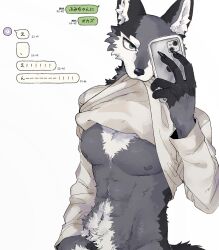  1boy animal_ears blue_eyes body_fur chat_log claws clothes_in_mouth clothes_lift furry furry_male grey_fur hand_up highres holding holding_phone large_hands lifted_by_self long_sleeves looking_at_viewer male_focus mouth_hold nipples original phone rata_(norahasu) selfie shirt_in_mouth shirt_lift simple_background solo tail toned toned_male translation_request upper_body white_background white_fur wolf_boy wolf_ears wolf_tail 