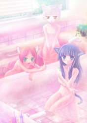  3girls animal_ears bath blush cat_ears female_focus loli looking_at_viewer multiple_girls nanao_yuki nude original tail water wet 
