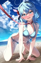 1girl absurdres ako_(blue_archive) all_fours beach bikini blue_archive blue_bikini blue_eyes blue_hair blue_hairband blue_sky blush breasts cleavage cloud collarbone day hairband halo highres holding holding_leash hosigarasu22 large_breasts leash long_hair navel ocean open_mouth outdoors pet_play sand side-tie_bikini_bottom sky solo stomach sweat swimsuit viewer_holding_leash wavy_mouth rating:Sensitive score:40 user:danbooru