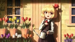  1girl :d black_dress blonde_hair blush collared_shirt commentary cowboy_shot door door_handle dress flower hair_between_eyes hair_ribbon hand_on_own_chest hand_up highres holding holding_watering_can long_sleeves looking_at_viewer neckerchief open_mouth outdoors plant potted_plant red_eyes red_neckerchief red_ribbon ribbon rumia shadow shirt short_hair smile solo touhou tulip watering_can white_shirt window yoirone 